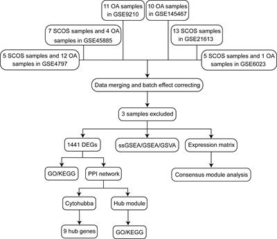 Aberrant Gene Expression Profiling in Men With Sertoli Cell-Only Syndrome